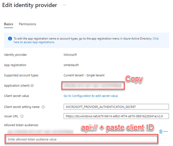 Allowed Token Audiences Copy/Paste